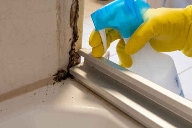 Best Industrial Mold Remediation  in Kettering, MD